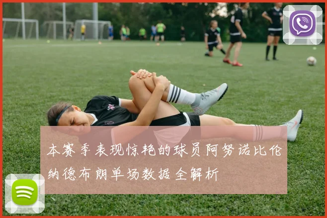 本赛季表现惊艳的球员阿努诺比伦纳德布朗单场数据全解析